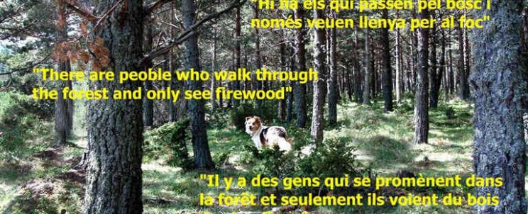 There are people who wal trhough the forest and only see firewood.