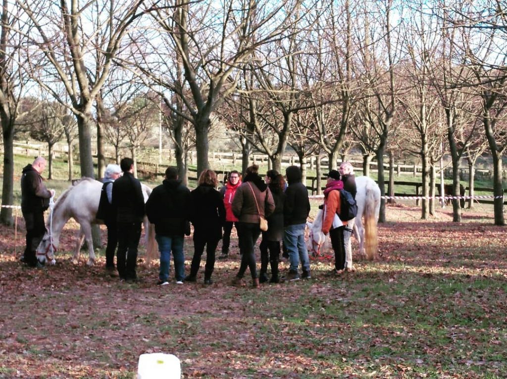 Un grup de persones al voltant d'un grup de cavalls.