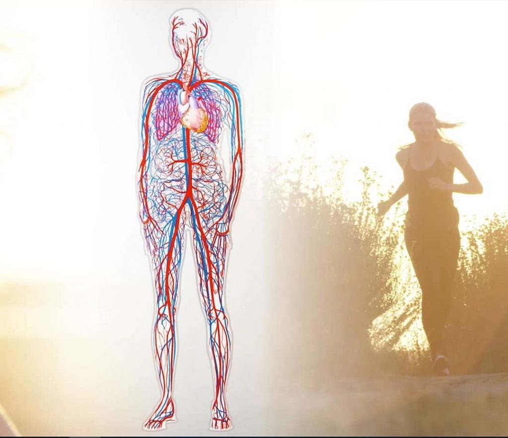 Una dona fent footing davant d'un diagrama del cos humà.