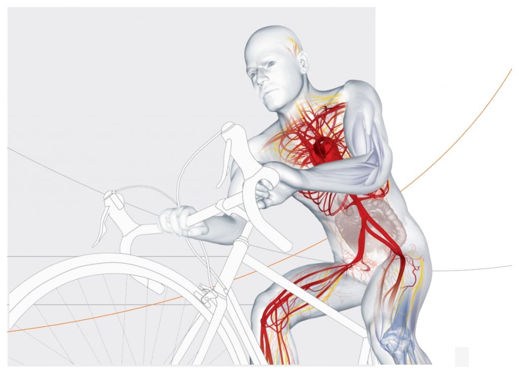 Il·lustració d'un home amb bicicleta.